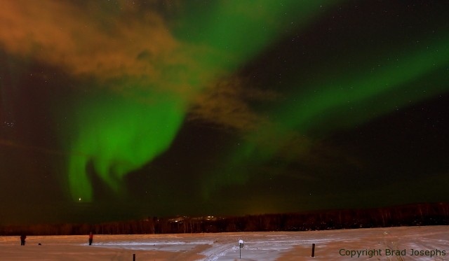 nanooks, UAF, northern lights, picture, photo