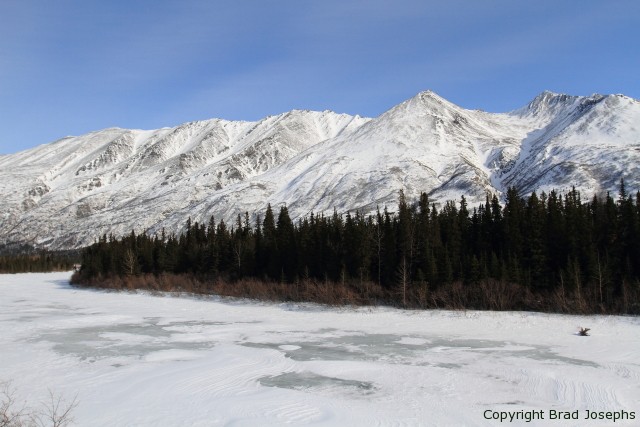 denali in winter, brad josephs, alaska bears and wolves