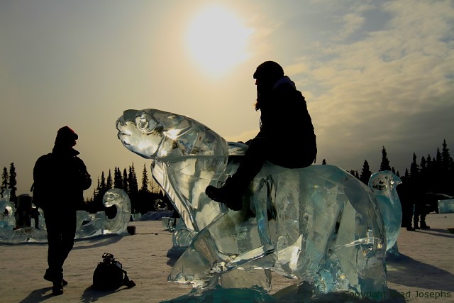 fairbanks ice festival, march 2012, polar bear, ice, 