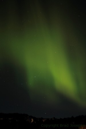 aurora borealis, alaska, brad josephs image, bears, wolves, natural habitat adventures