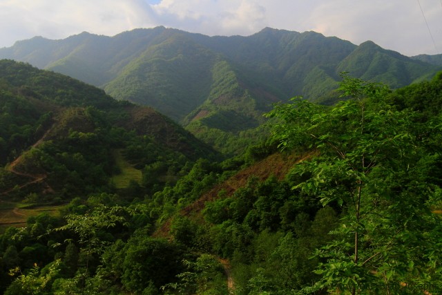 china wilderness images, wild china, wildchina