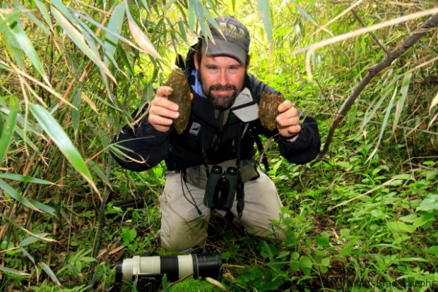 brad josephs, bears, wild panda, sichuan, china, wwf, natural habitat adventures,