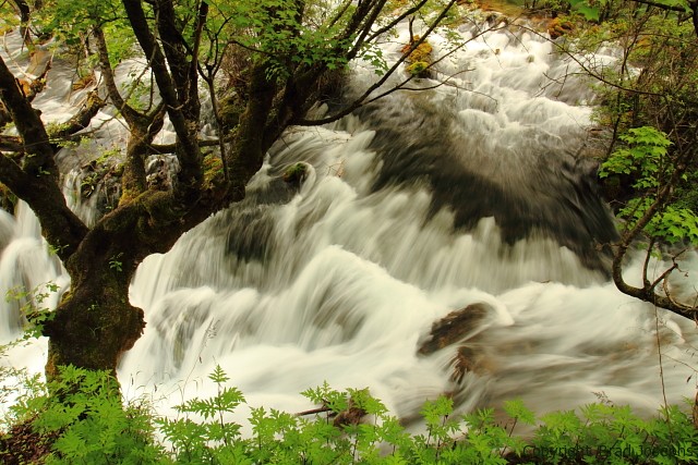 picture of waterfall, image of waterfall, Jiuzhaigou Valley, brad josephs, natural habitat adventures
