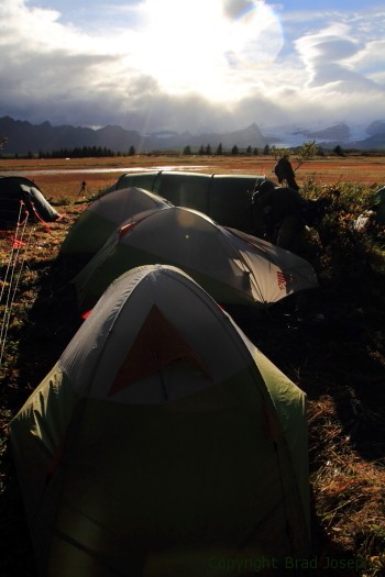 bbc remote camp, alaska peninsula, bear documentary, 