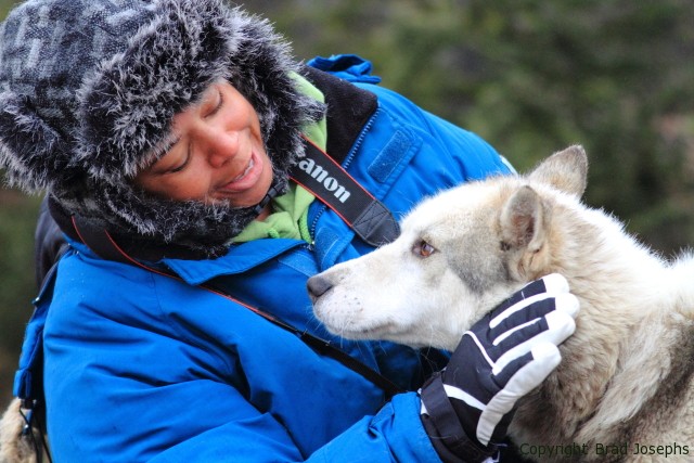 churchill dog sledding, image, natural habitat adventures.