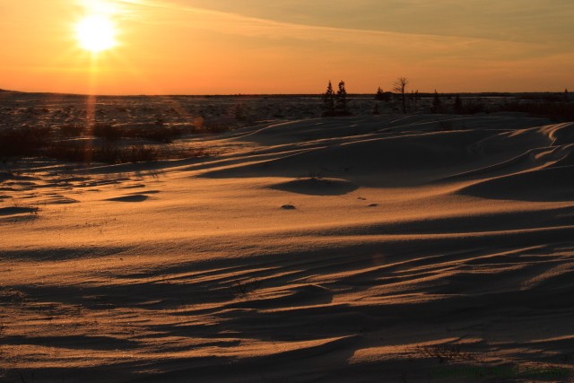 churchill blizzard, snowdrifts