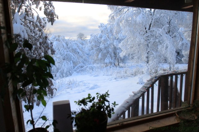 homer winter weather, average snow in homer, white christmas homer, blizzard