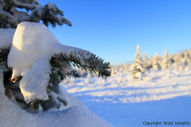 alaska winter image, picture of alaska in winter, homer alaska