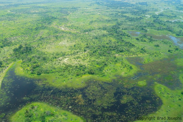 aerial image of okavango, brad josephs