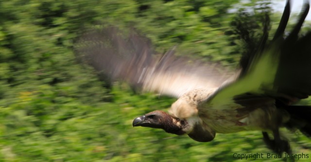 slow exposure