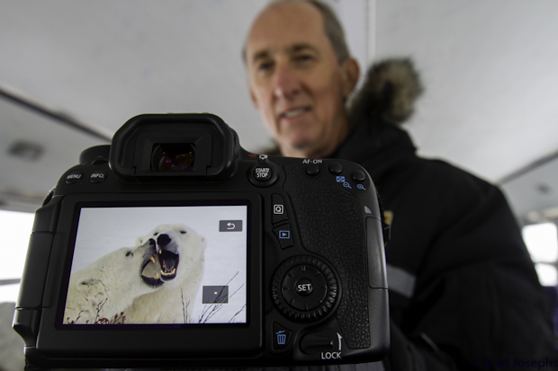 polar bear photo workshop