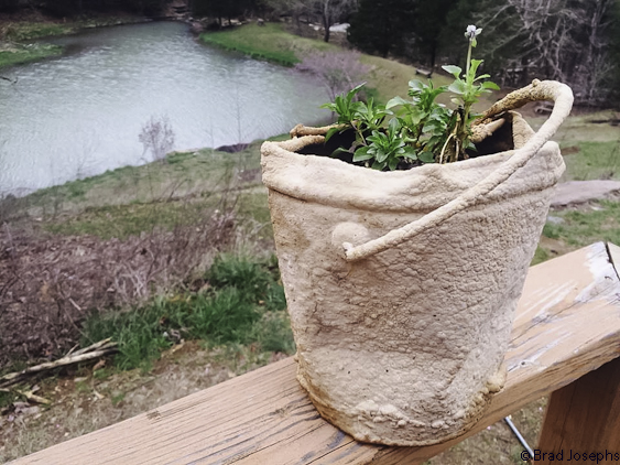 I found very, very, very old bucket buried in the mud. It was entirely encased in calium carbnate. Technically it could be defined as litter, so I took it and planed flowers in it. 