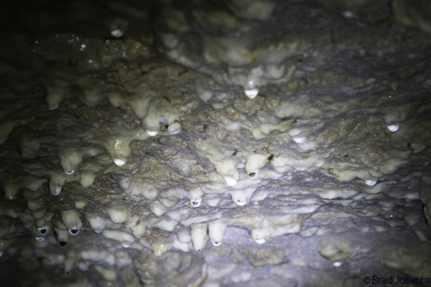 As groudwater leaks in to the cave space, it interacts with air, and precipitates calium carbonate, which is gathers by dissolving limestone. THe entire cave was encased in young stalagties. The older ones were prbably broekn off by past visitors. 