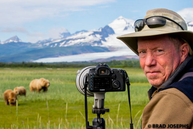 is bear viewing safe? katmai alaska