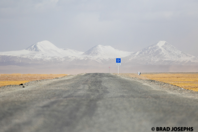 lonely road in qinghai province